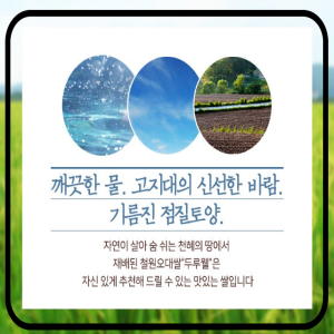 철원동신미곡처리장 두루웰철원오대쌀,[24년산DMZ햅쌀 철원동신미곡 ]두루웰철원오대쌀10KG*2 (천혜의 자연을 담은쌀)