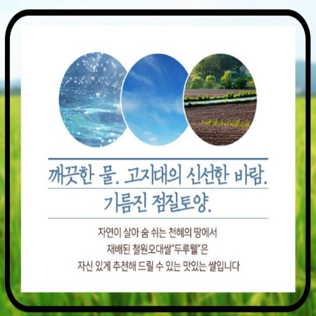 강원더몰,[철원동신미곡 23년산DMZ햅쌀]두루웰철원오대쌀10KG