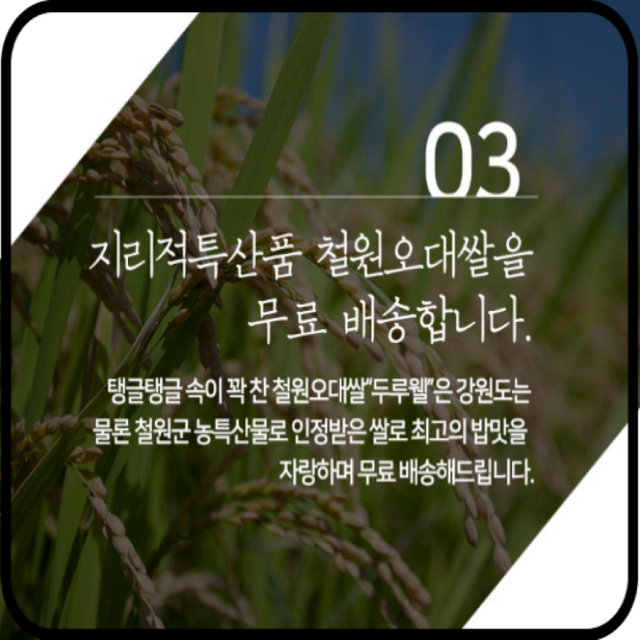 강원더몰,원더라이브[철원동신미곡 24년산DMZ햅쌀]10KG두루웰철원오대쌀(DMZ햅쌀)