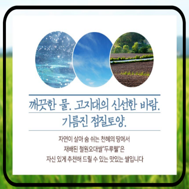 강원더몰,원더라이브[철원동신미곡 24년산DMZ햅쌀]10KG두루웰철원오대쌀(DMZ햅쌀)