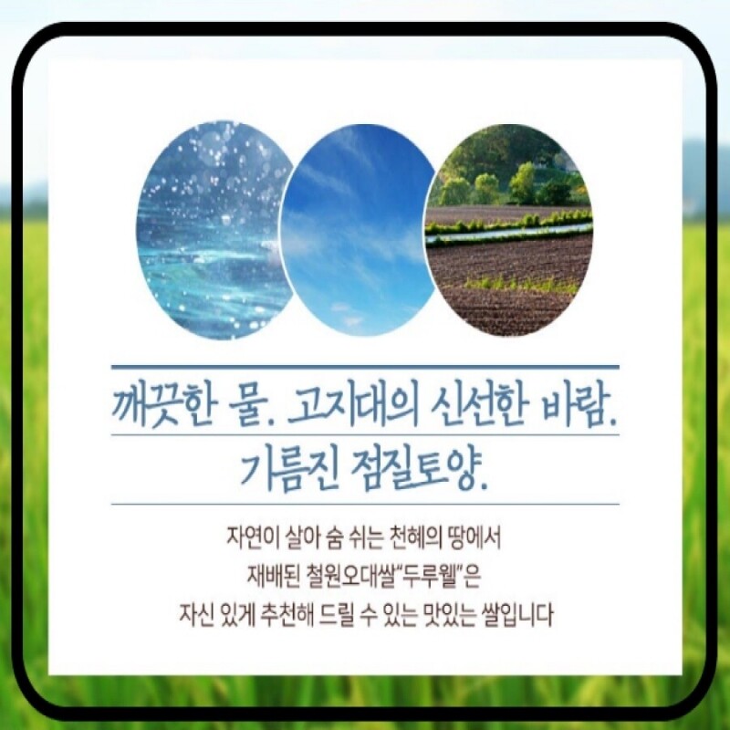 철원동신미곡처리장 두루웰철원오대쌀,[철원동신미곡 24년산DMZ햅쌀]10KG두루웰철원오대쌀 (찰지고 맛있는 쌀)