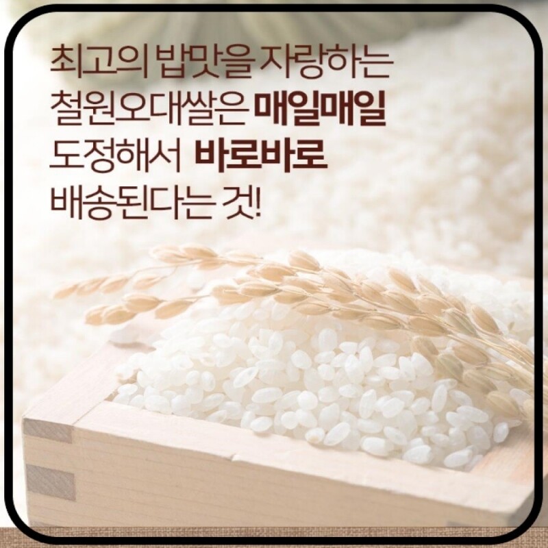 철원동신미곡처리장 두루웰철원오대쌀,[철원동신미곡 24년산DMZ햅쌀]10KG두루웰철원오대쌀 (찰지고 맛있는 쌀)