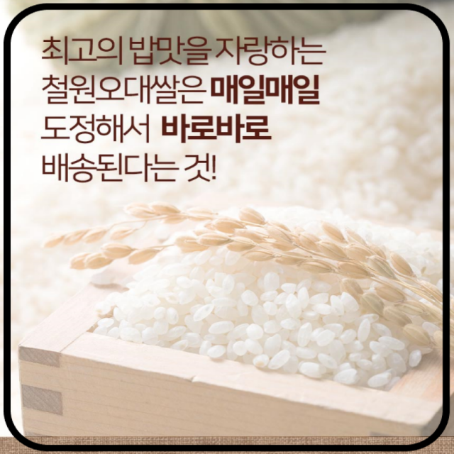 강원더몰,[철원동신미곡 25년산DMZ햅쌀]4KG두루웰철원오대쌀 (천혜의 자연을 담은쌀)