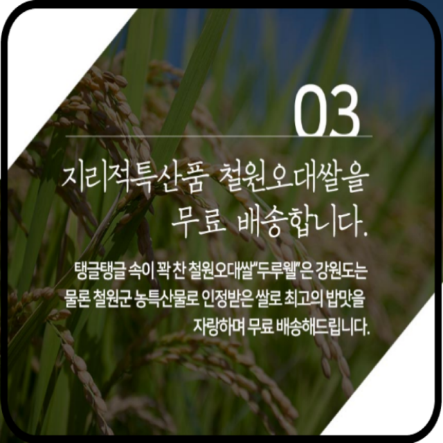 강원더몰,[철원동신미곡 25년산DMZ햅쌀]4KG두루웰철원오대쌀 (천혜의 자연을 담은쌀)