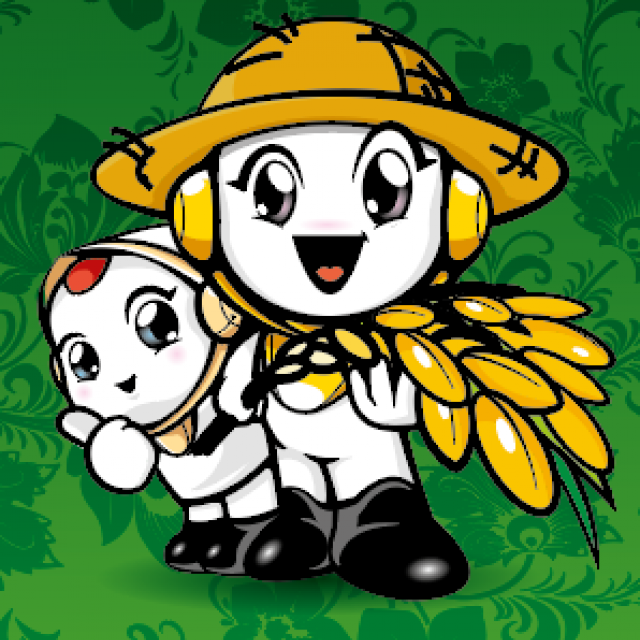 강원더몰,[DMZ오대햇현미 철원동신미곡]10KG철원오대햇현미 (다이어트식&건강식으로 추천)