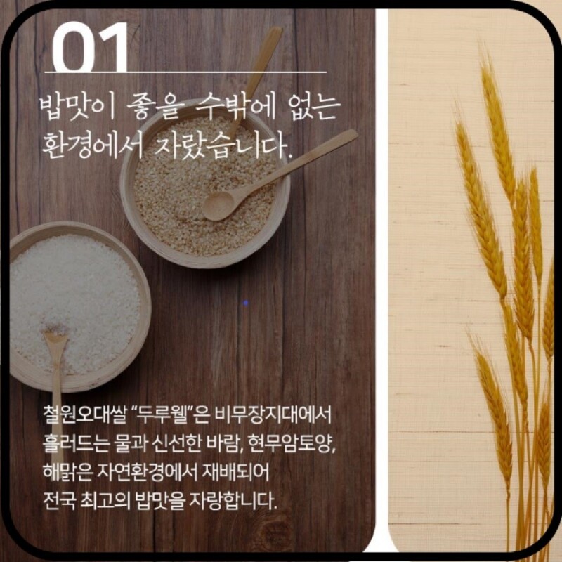 강원더몰,[25년산 DMZ햅쌀 철원동신미곡]10KG두루웰철원오대쌀 (찰지고 맛있는 햅쌀)