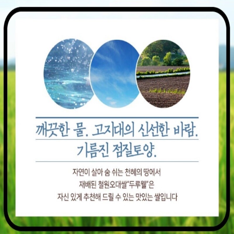 강원더몰,[25년산 DMZ햅쌀 철원동신미곡]10KG두루웰철원오대쌀 (찰지고 맛있는 햅쌀)