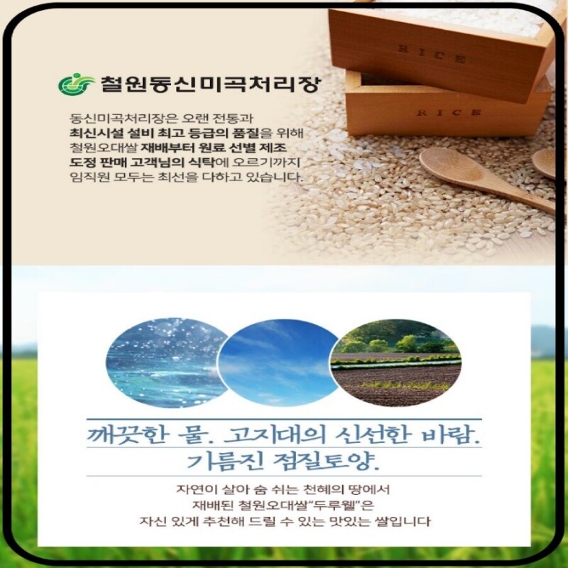 강원더몰,[25년산 DMZ햅쌀 철원동신미곡]10KG두루웰철원오대쌀 (찰지고 맛있는 햅쌀)